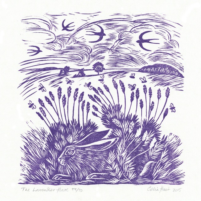 'The Lavender Hare' linocut 20 x 20 cm